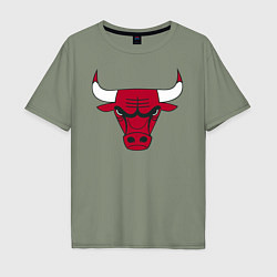 Мужская футболка оверсайз Chicago Bulls