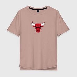 Мужская футболка оверсайз CHICAGO BULLS