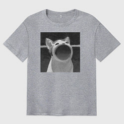 Футболка оверсайз мужская ЧБ Pop Cat, цвет: меланж