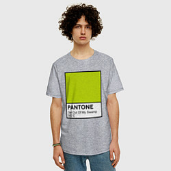 Футболка оверсайз мужская Shrek: Pantone Color, цвет: меланж — фото 2