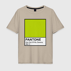 Мужская футболка оверсайз Shrek: Pantone Color