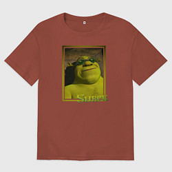 Футболка оверсайз мужская Шрек в очках, цвет: кирпичный