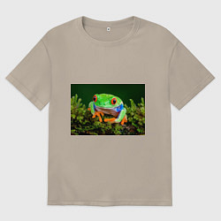 Мужская футболка оверсайз Тропическая лягушка