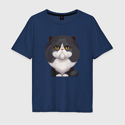 Мужская футболка оверсайз Важный кот