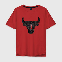 Футболка оверсайз мужская Bulls - Jordan, цвет: красный