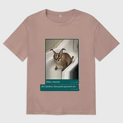 Футболка оверсайз мужская Шлёпа, цвет: пыльно-розовый