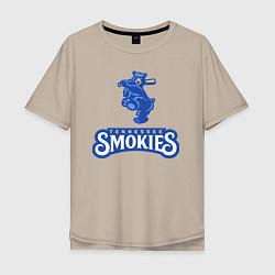 Мужская футболка оверсайз Tennessee smokies - baseball team