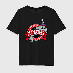 Мужская футболка оверсайз Brevard County Manatees - baseball team