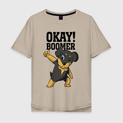 Мужская футболка оверсайз Okay boomer!