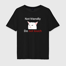 Футболка оверсайз мужская Not friendly, do not touch, текст с мемным котом, цвет: черный