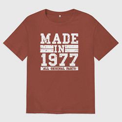 Футболка оверсайз мужская Сделано в 1977 году, цвет: кирпичный