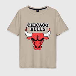 Футболка оверсайз мужская Chicago Bulls, цвет: миндальный