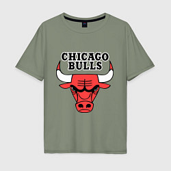 Футболка оверсайз мужская Chicago Bulls, цвет: авокадо