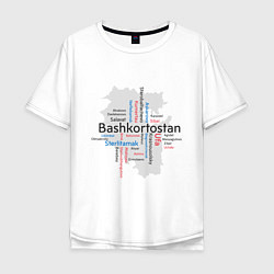 Мужская футболка оверсайз Republic of Bashkortostan