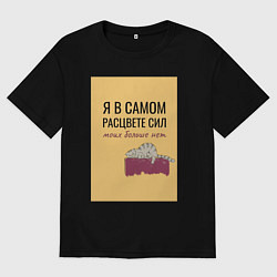 Мужская футболка оверсайз Уставший кот в полном расцвете сил