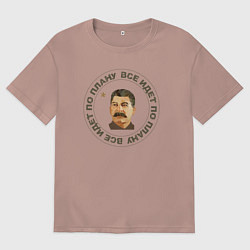 Футболка оверсайз мужская Сталин Все по Плану, цвет: пыльно-розовый