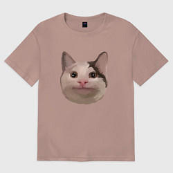 Футболка оверсайз мужская Polite cat meme, цвет: пыльно-розовый