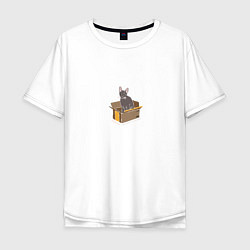 Мужская футболка оверсайз Кошка в коробке