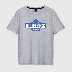 Футболка оверсайз мужская Logo Blue Lock, цвет: меланж