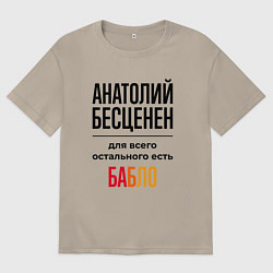 Мужская футболка оверсайз Анатолий бесценен, для всего остального есть бабло