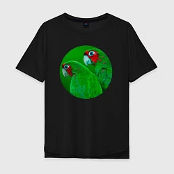 Футболка оверсайз мужская Два зелёных попугая, цвет: черный