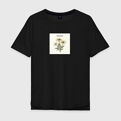Футболка оверсайз мужская Ромашки chamomile, цвет: черный