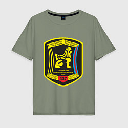 Мужская футболка оверсайз Гвардейский парашютно-десантный полк
