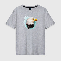 Футболка оверсайз мужская Белоголовый орёл, цвет: меланж