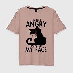 Мужская футболка оверсайз I am not angry cat