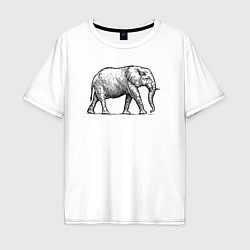 Мужская футболка оверсайз Слон гуляет