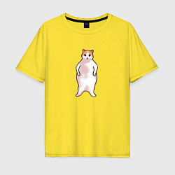 Мужская футболка оверсайз Толстый кот танцует