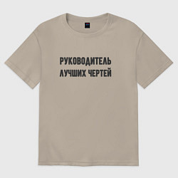 Мужская футболка оверсайз Руководитель лучших чертей