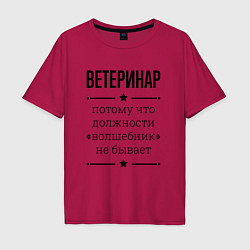 Футболка оверсайз мужская Ветеринар должность волшебник, цвет: маджента