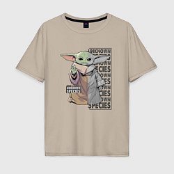 Мужская футболка оверсайз Unknown specis - Baby Yoda