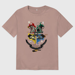 Футболка оверсайз мужская Hogwarts School of Witchcraft and Wizardry, цвет: пыльно-розовый