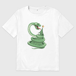Мужская футболка оверсайз Змей поедатель