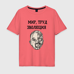 Мужская футболка оверсайз Мир труд эволюция