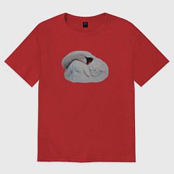 Футболка оверсайз мужская Спящий лебедь, цвет: красный
