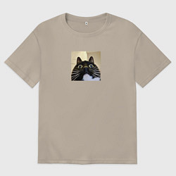 Футболка оверсайз мужская Видеозвонок с котом парный мем, цвет: миндальный