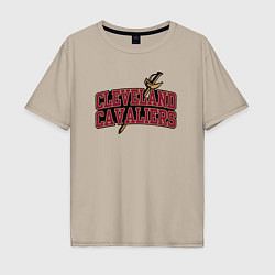 Мужская футболка оверсайз NBA Cleveland