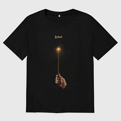 Футболка оверсайз мужская Lumos - заклинание, цвет: черный