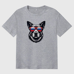 Футболка оверсайз мужская Собака в солнцезащитных очках с флогом России, цвет: меланж