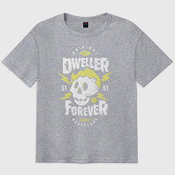 Футболка оверсайз мужская Dweller Forever, цвет: меланж