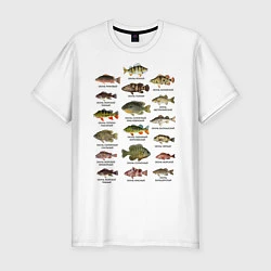 Мужская slim-футболка Разновидность окуней