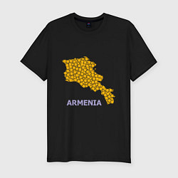 Футболка slim-fit Golden Armenia, цвет: черный