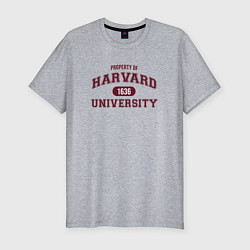 Мужская slim-футболка Harvard