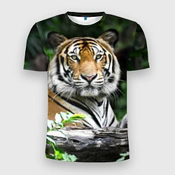 Мужская спорт-футболка Тигр в джунглях