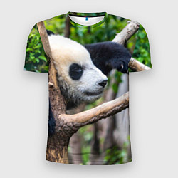 Мужская спорт-футболка Бамбуковый медведь