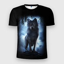Футболка спортивная мужская ВОЛК БРОДЯГА, цвет: 3D-принт