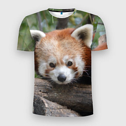 Мужская спорт-футболка Красная панда